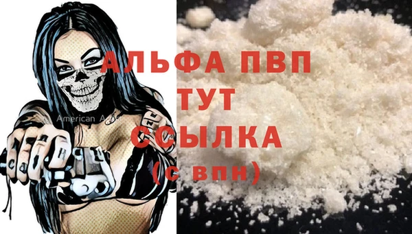 spice Аркадак