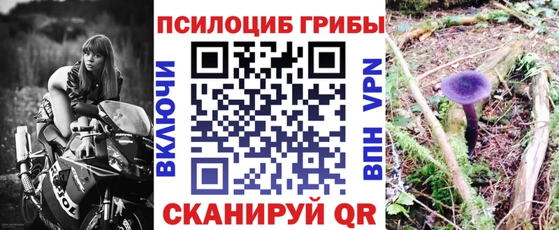 Псилоцибиновые грибы мицелий  хочу   Гулькевичи 